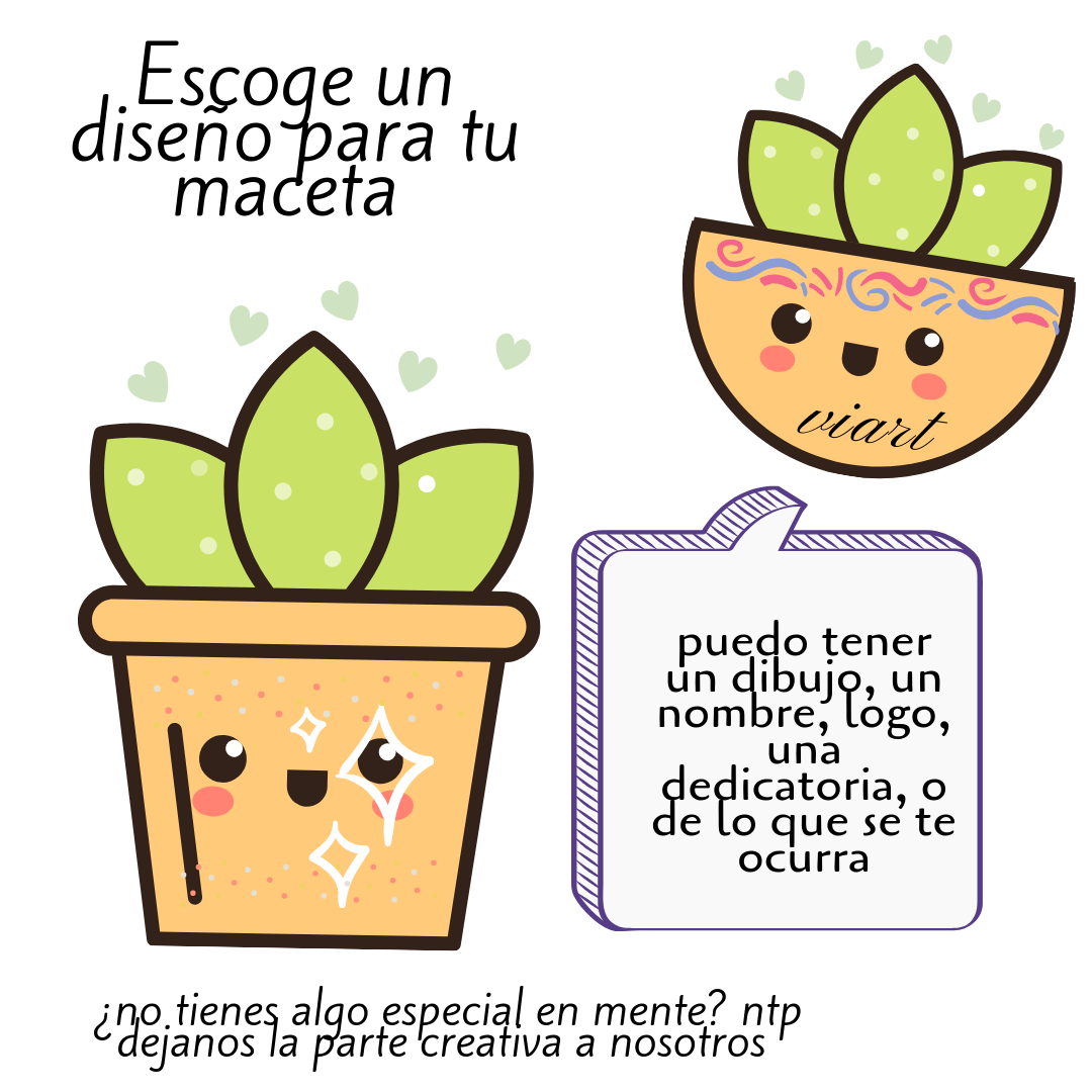 Sunset in the mountains